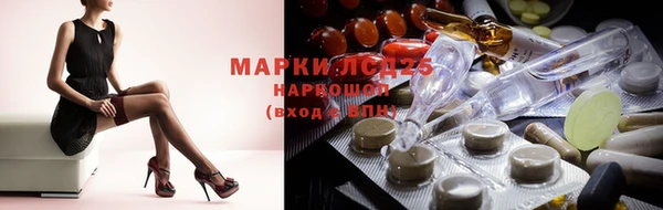 индика Абинск