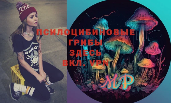 бошки Абаза