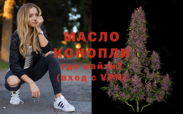 индика Абинск