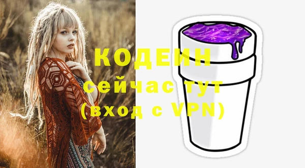 индика Абинск