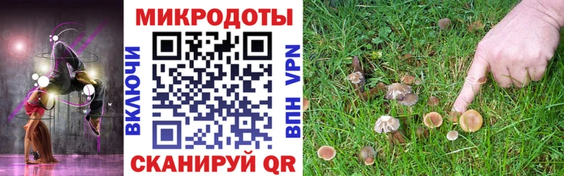 хочу Новопавловск сайты даркнета Telegram Галлюциногенные грибы GOLDEN TEACHER