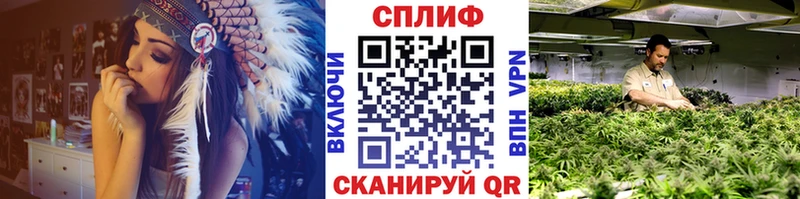 закладка  Новопавловск  Канабис OG Kush 